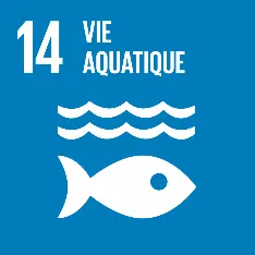 ODD 14 - Vie aquatique et preservation des oceans