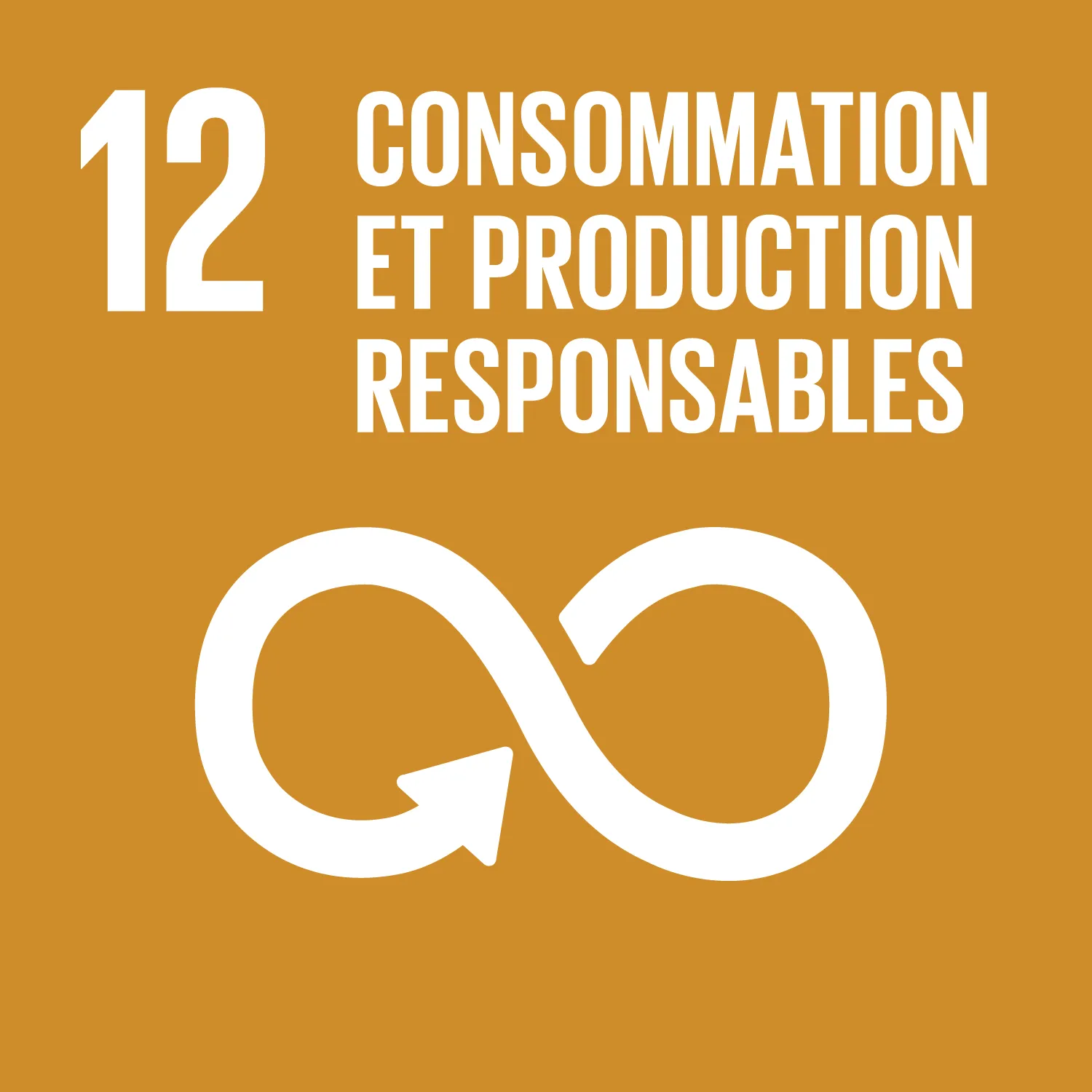 ODD 12 - Consommation et production responsables