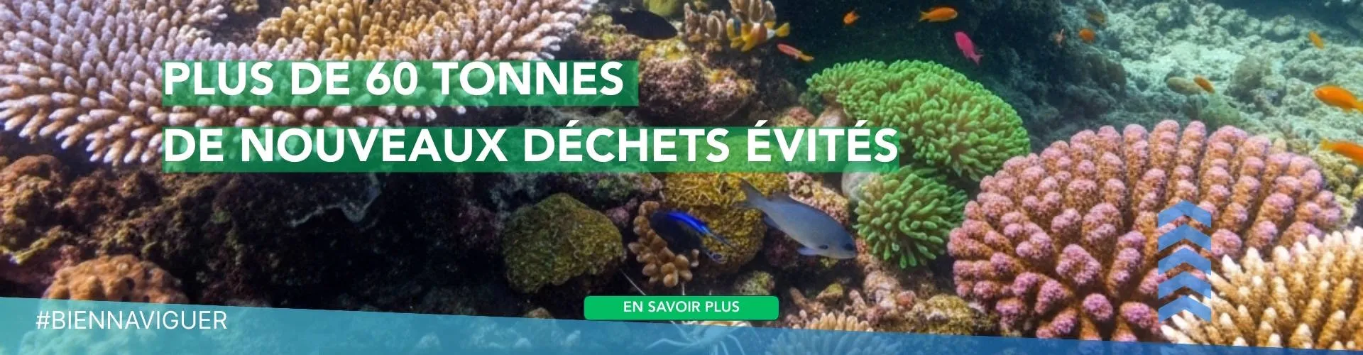 Achetez un bateau reconditionné et garanti